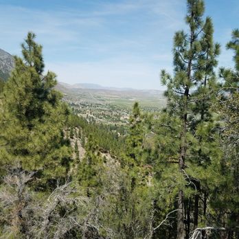 Genoa Loop Trail - Looking above Jacks Valley Road ~ beautiful views! - Hiking Near Me - Carson City, Nevada Genoa Loop Trail - Looking above Jacks Valley Road ~ beautiful views! - Hiking Near Me - Carson City, Nevada