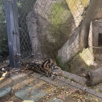 Sac Zoo - Zoos Near Me - Sacramento, California Sac Zoo - Zoos Near Me - Sacramento, California