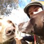 Photo of Canine Kinetics