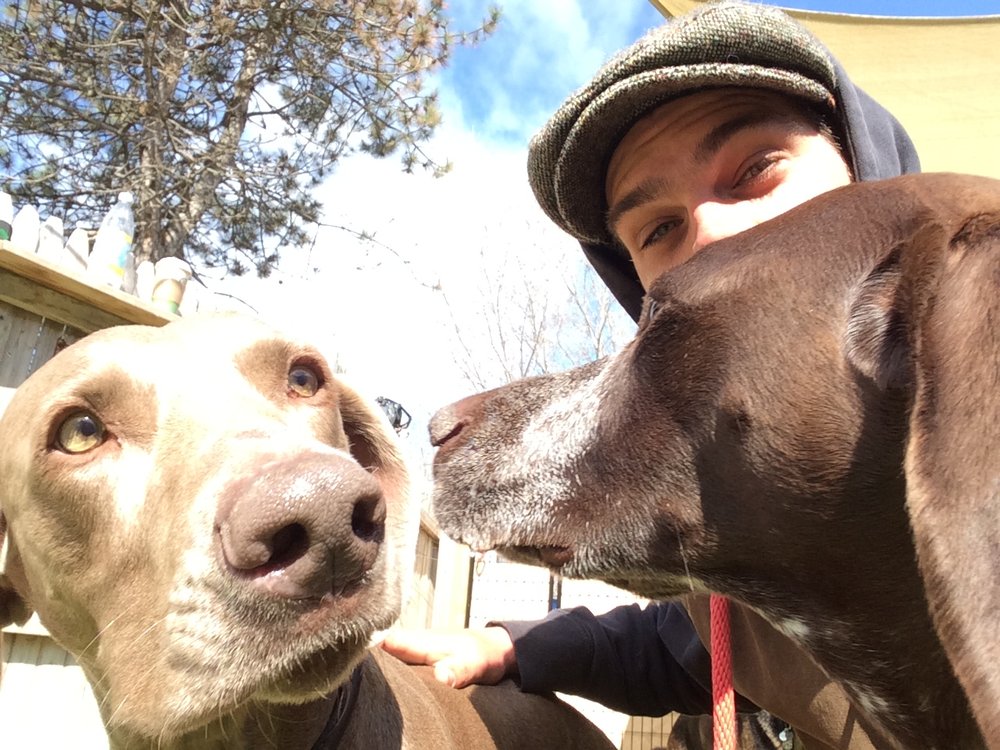 Canine Kinetics - pet boarding facility in South Burlington, VT