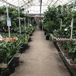 Inside Inside
