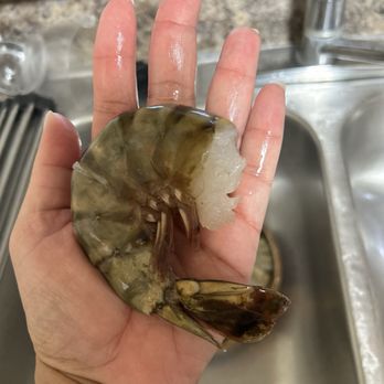 Lobster Haven - Huge shrimp! - Seafood Near Me - Tampa, Florida