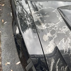 Azalea Auto Body