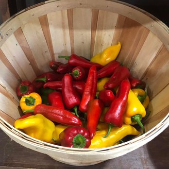 VegOut! Farms - Farms Near Me - Brookshire, Texas VegOut! Farms - Farms Near Me - Brookshire, Texas
