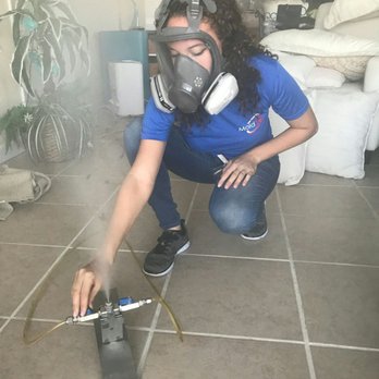 Mold Zero - Damage Restoration Near Me - Largo, Florida
