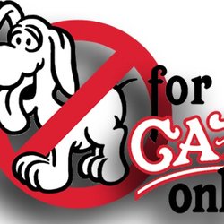 For Cats Only - No Dogs Allowed!!  :)