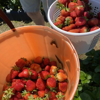 Henley Farms - Farmers Market Near Me - Virginia Beach, Virginia