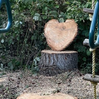 Bob's Property Solutions - Tree was in a heart shape so they cut us a thin piece rom the stump to keep! - Demolition Services Near Me - Puyallup, Washington