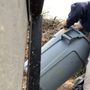 Photo of Blue Bear Junk Removal