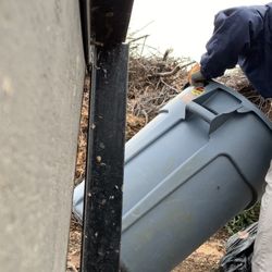 Blue Bear Junk Removal - Tree Branch Disposal