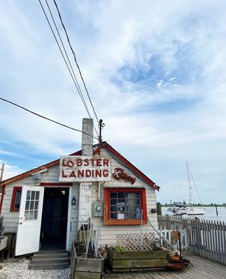 Lobster Landing by null