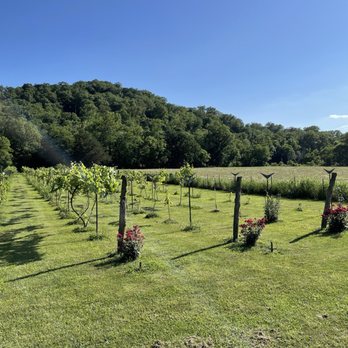 Railway Winery & Vineyards - Vineyard - Wineries Near Me - Eureka Springs, Arkansas Railway Winery & Vineyards - Vineyard - Wineries Near Me - Eureka Springs, Arkansas
