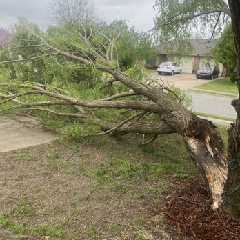 John's Tree Service - Tree down at a duplex of mine - Tree Services Near Me - Springdale, Arkansas