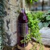 RAW Urban Winery & Hard Cidery gift card