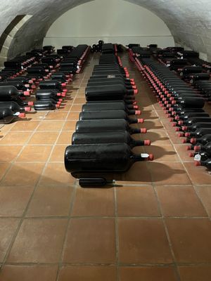 Château Pape Clément by null
