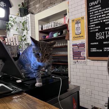 Wren House Brewing - The House Cat. - Breweries Near Me - Phoenix, Arizona Wren House Brewing - The House Cat. - Breweries Near Me - Phoenix, Arizona