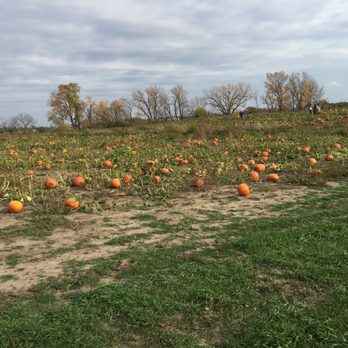 Center Grove Orchard - Botanical Gardens Near Me - Cambridge, Iowa