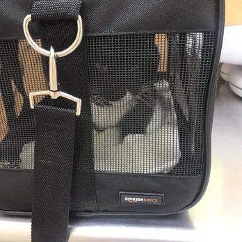 Austin Veterinary Care - Zeus - Veterinarians Near Me - Forest Hills, New York Austin Veterinary Care - Zeus - Veterinarians Near Me - Forest Hills, New York