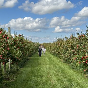 Stade's Farm & Market - Big variety of fruits - Farmers Market Near Me - McHenry, Illinois Stade's Farm & Market - Big variety of fruits - Farmers Market Near Me - McHenry, Illinois