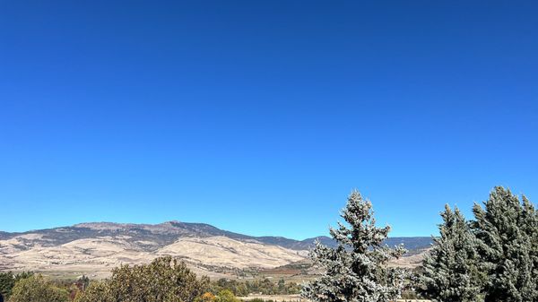 Weisinger Family Winery by null