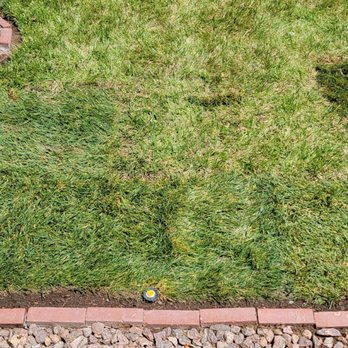 Top Notch Custom Landscapes - After - Landscape Architects or Designers Near Me - Albuquerque, New Mexico Top Notch Custom Landscapes - After - Landscape Architects or Designers Near Me - Albuquerque, New Mexico
