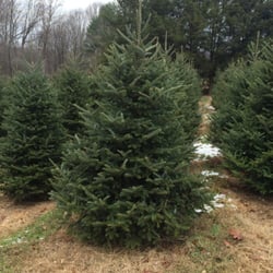 Schmidt's Christmas Tree Farm