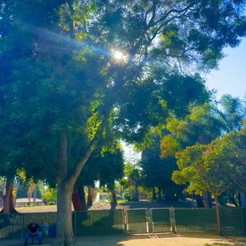 Las Palmas Park - Inside the Little dog  park - Parks Near Me - Sunnyvale, California
