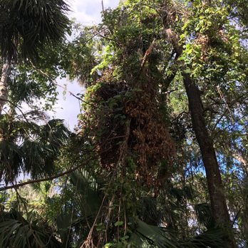 Gemini Springs Park - Parks Near Me - Debary, Florida