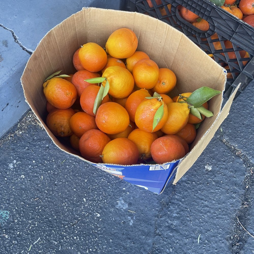 Garrett's Smog 3 - Fresh fruit while you wait!!! - Smog Check Stations Near Me - San Marcos, California Garrett's Smog 3 - Fresh fruit while you wait!!! - Smog Check Stations Near Me - San Marcos, California