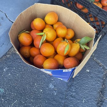 Garrett's Smog 3 - Fresh fruit while you wait!!! - Smog Check Stations Near Me - San Marcos, California Garrett's Smog 3 - Fresh fruit while you wait!!! - Smog Check Stations Near Me - San Marcos, California