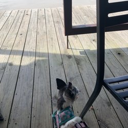 Evergreen Marina - Dog-friendly
