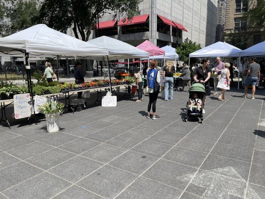 SOAR Farmers Market by null