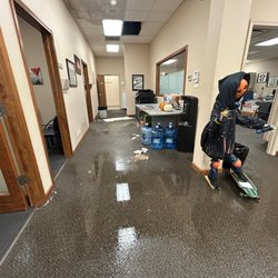 ServiceMaster Restoration and Cleaning - Bloomington
