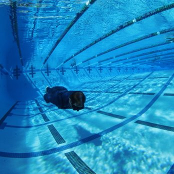 Dive California - Dynamic apnea dive. - Scuba Diving Near Me