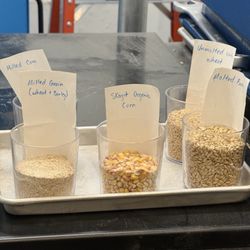 Wildwood Spirits - Wheat milling