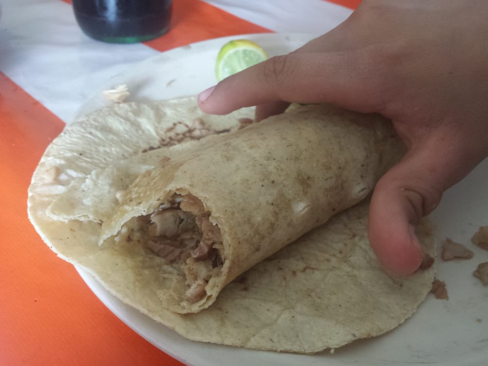 Carnitas Light