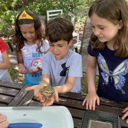 Learn Nature and Party Animals - Holding a toad