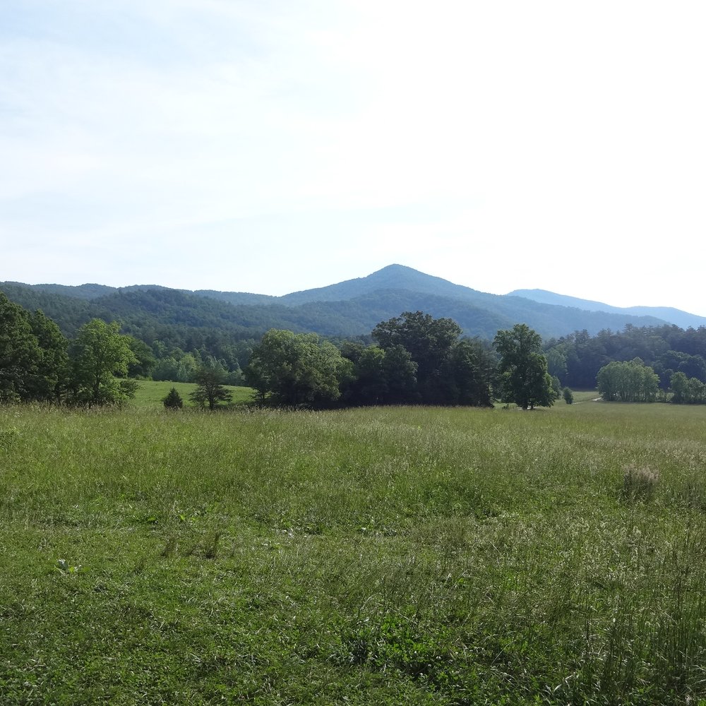 Cades Cove Cades Cove