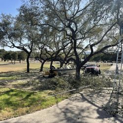 Luna's Tree Service
