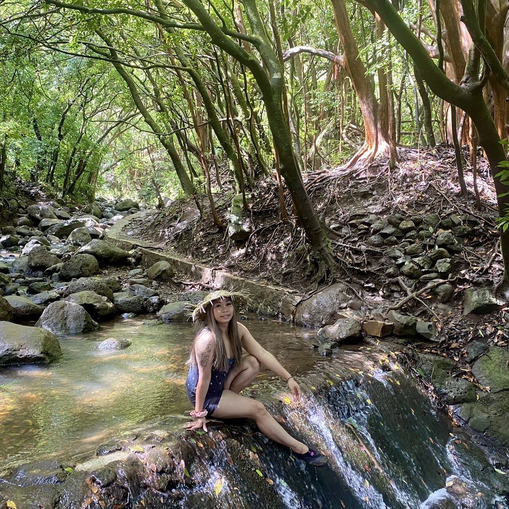 Lulumahu Falls - Hiking Near Me - Honolulu, Hawaii Lulumahu Falls - Hiking Near Me - Honolulu, Hawaii