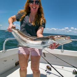 Ingram Bay Marina - Great fishing nearby. This is a Cobia