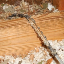 4 Season Home Inspections - Bare wires in Attic