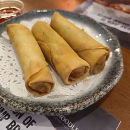 Crispy Vegetable Spring Roll