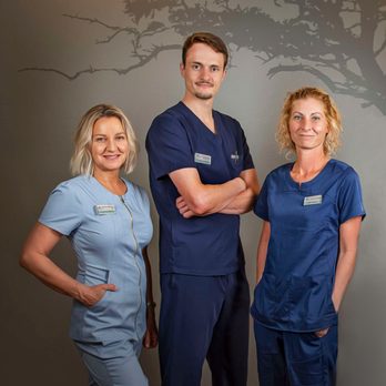 1. Brevard Acupuncture & Integrative Medicine