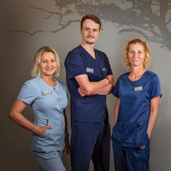 Brevard Acupuncture & Integrative Medicine