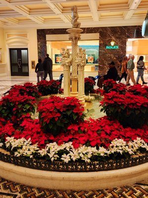 Bellagio Pool by null