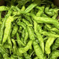 Asian Long Hots