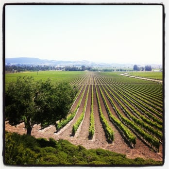 Gloria Ferrer Winery - gorgeous view - Wineries Near Me - Sonoma, California
