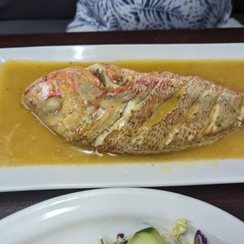 Picalonga Mix Restaurant - Whole red snapper, steamed with coconut milk and garlic. Delicious! - Dominican Near Me - Kissimmee, Florida Picalonga Mix Restaurant - Whole red snapper, steamed with coconut milk and garlic. Delicious! - Dominican Near Me - Kissimmee, Florida