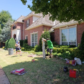 Dmt Tree Care - Tree Services Near Me Dmt Tree Care - Tree Services Near Me